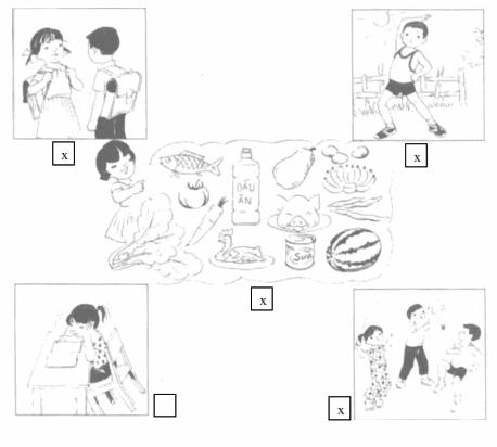 Giải Vở bài tập Tự nhiên và xã hội 2 bài 4