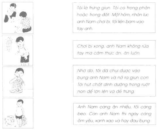 Giải Vở bài tập Tự nhiên và xã hội 2 bài 9