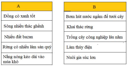 Hoạt động sản xuất của người dân ở Tây Nguyên