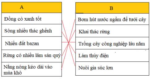 Hoạt động sản xuất của người dân ở Tây Nguyên