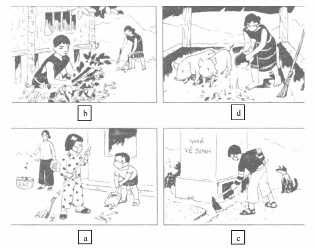 Giải Vở bài tập Tự nhiên và xã hội 2 bài 13