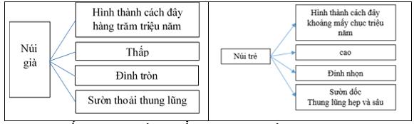 Giải VBT Địa lý lớp 6: Bài 13: Địa hình bề mặt Trái Đất
