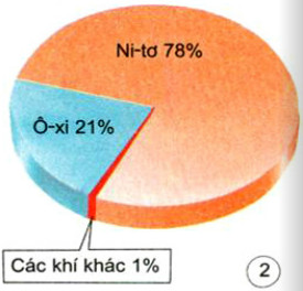 Giải Bài 2 trang 47 VBT Khoa Học 4