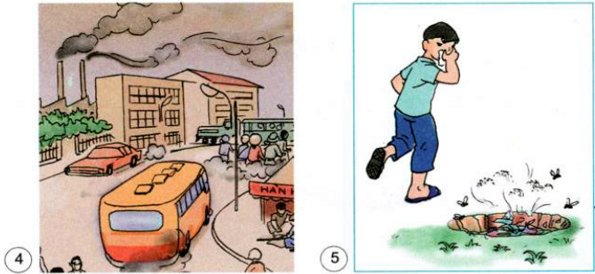 Giải Bài 2 trang 47 VBT Khoa Học 4