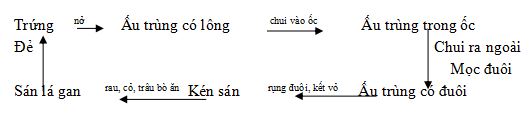 Đề kiểm tra Sinh học 7