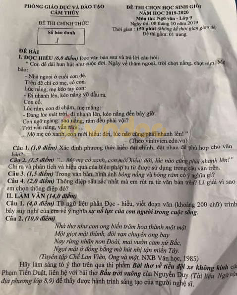 Đề thi chọn học sinh giỏi lớp 9 môn Ngữ văn Phòng GD&ĐT Cẩm Thủy năm học 2019 - 2020