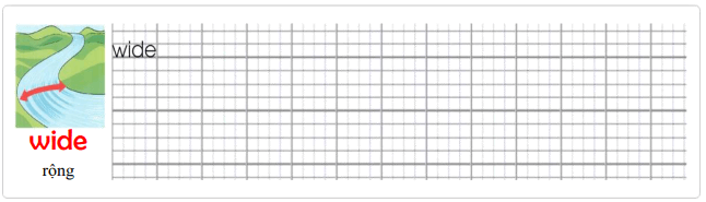 Tập viết Tiếng Anh lớp 4 Unit 9: What's the fastest animal in the world?