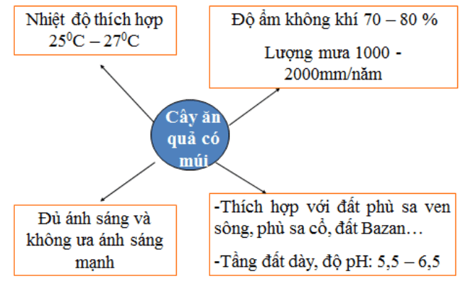 lý thuyết môn công nghệ 9