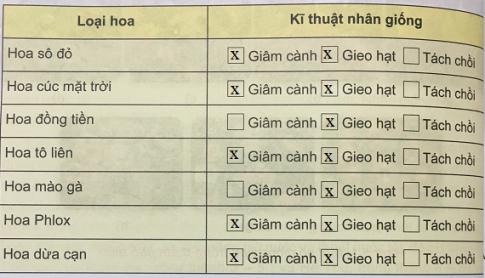 Soạn Công nghệ 9 bài Kĩ thuật trồng một số cây hoa thảm VNEN