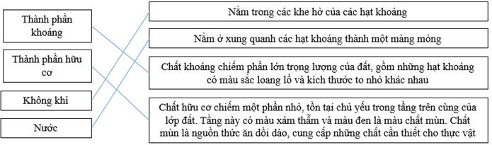 Giải VBT Địa lý lớp 6: Bài 26