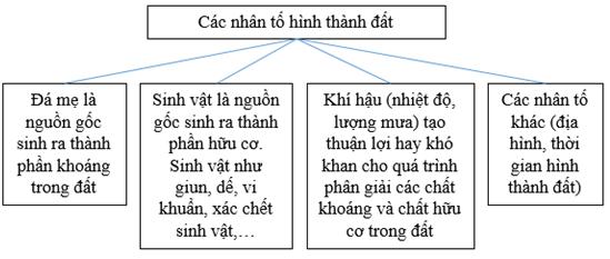 Giải VBT Địa lý lớp 6: Bài 26