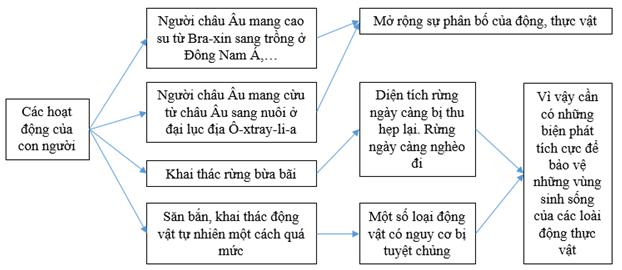 Giải VBT Địa lý lớp 6: Bài 27