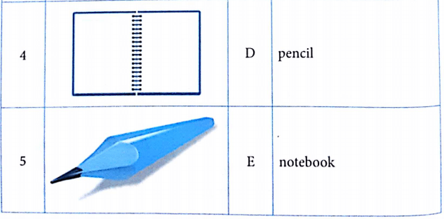 Bài tập từ vựng tiếng Anh lớp 3 Unit 8 This is my pen