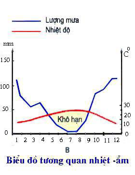 Đề thi học kì 1 lớp 7 môn Địa