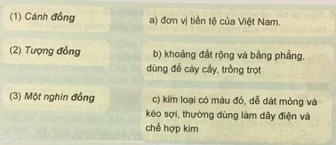 Giải Tiếng việt lớp 5 VNEN: Bài 5C
