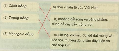 Giải Tiếng việt lớp 5 VNEN: Bài 5C