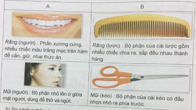 Giải Tiếng việt lớp 5 VNEN: Bài 6C