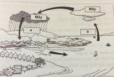 Giải Khoa học lớp 4 VNEN bài Ôn tập và kiểm tra học kì 1