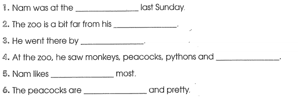 Bài tập cuối tuần môn Tiếng Anh lớp 5 Tuần 13