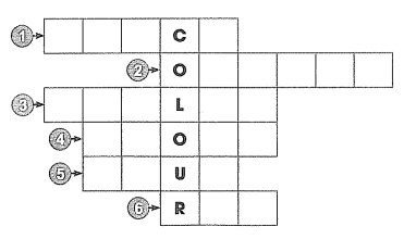 Phiếu bài tập cuối tuần môn Tiếng Anh lớp 3 Tuần 14