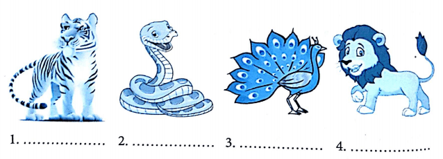 Bài tập từ vựng tiếng Anh lớp 5 Unit 9 What did you see at the zoo?