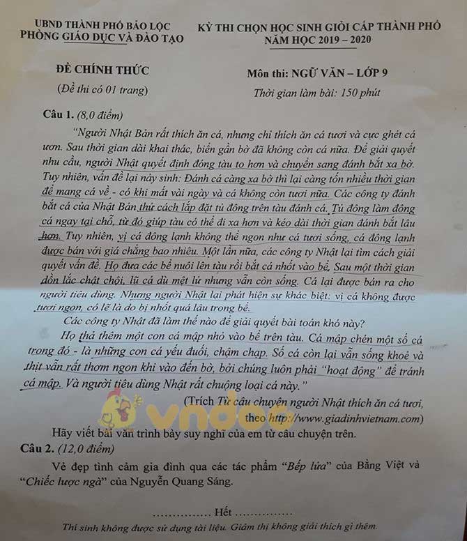Đề thi học sinh giỏi cấp thành phố lớp 9 môn Ngữ văn Phòng GD&ĐT Bảo Lộc năm học 2019 - 2020
