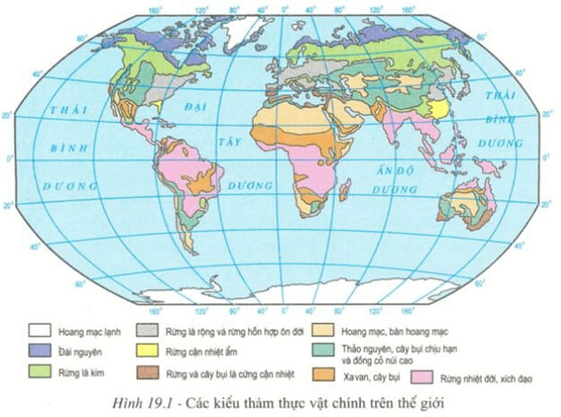 lý thuyết địa lý 8