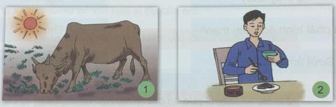 Giải Khoa học lớp 5 VNEN bài Sử dụng năng lượng mặt trời, gió và nước chảy