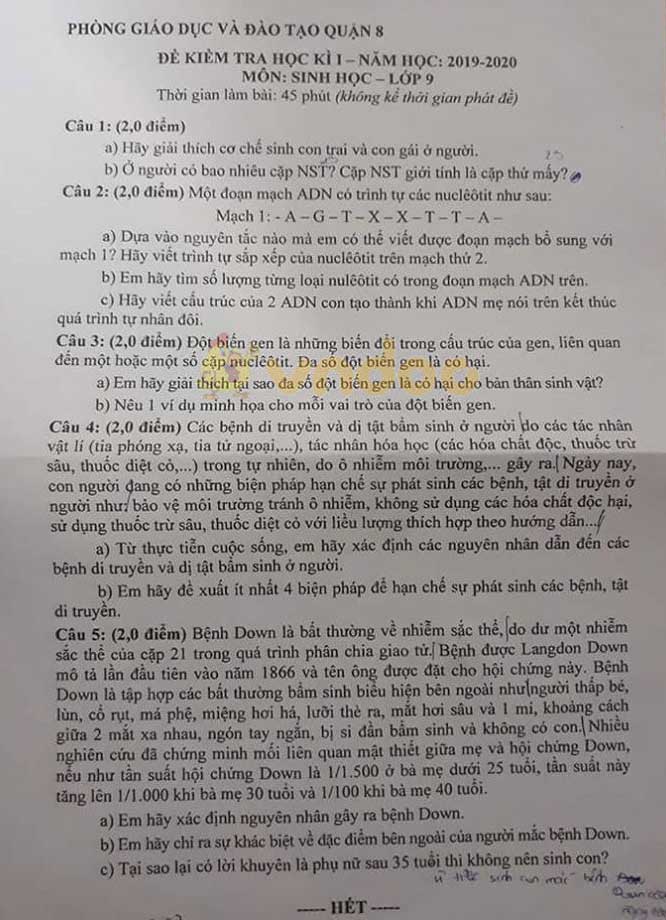 Đề thi học kì 1 lớp 9 môn Sinh học Phòng GD&ĐT Quận 8 năm 2019 - 2020