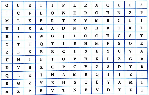 Bài tập từ vựng tiếng Anh lớp 4 Unit 10 Where were you yesterday?