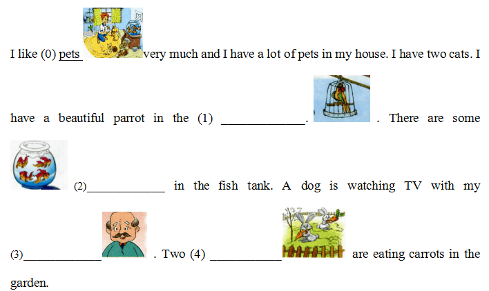 Đề thi học kì 1 lớp 3 môn tiếng Anh trường Tiểu học Mai Đăng Chơn