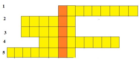 Khu vực Đông Nam Á và các nước láng giềng của Việt Nam