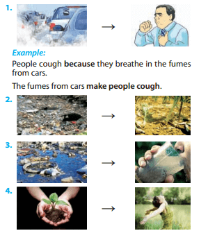 Tiếng Anh 8 Unit 7: A Closer Look 1