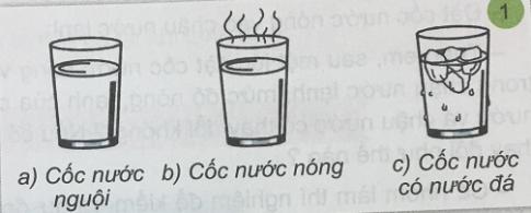 Giải Khoa học lớp 4 VNEN