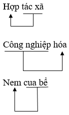 bài từ ghép