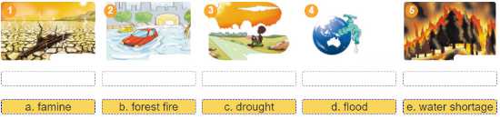 Tiếng Anh 11 Unit 6: Skills