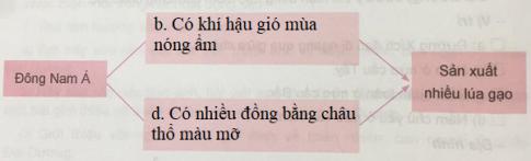 Giải Địa lí lớp 5 VNEN: Phiếu kiểm tra 3