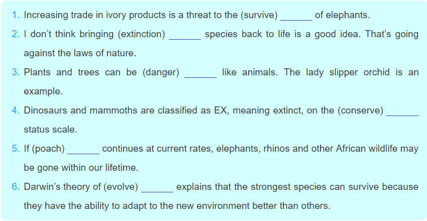 Tiếng Anh 12 Unit 6: Looking back