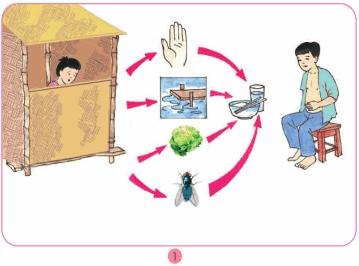 Giải bài tập SGK Tự nhiên và xã hội 2 bài 9