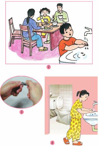 Giải bài tập SGK Tự nhiên và xã hội 2 bài 9