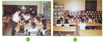 Giải bài tập SGK Tự nhiên và xã hội 2 bài 15