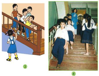 Giải bài tập SGK Tự nhiên và xã hội 2 bài 17