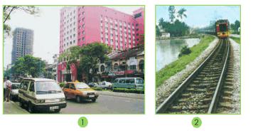 Giải bài tập SGK Tự nhiên và xã hội 2 bài 19