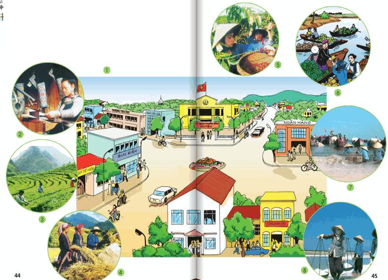 Giải bài tập SGK Tự nhiên và xã hội 2 bài 21: Cuộc sống xung quanh