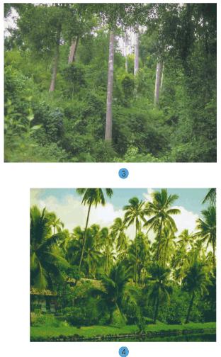 Giải bài tập SGK Tự nhiên và xã hội 2 bài 24