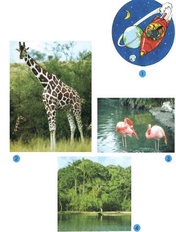 Hoạt động 1 Giải bài tập SGK Tự nhiên và xã hội 2 bài 34, 35