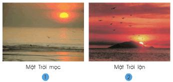 Hoạt động 1 Giải bài tập SGK Tự nhiên và xã hội 2 bài 32