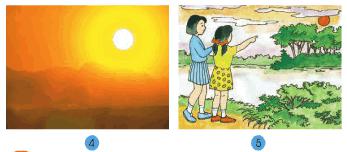 Giải bài tập SGK Tự nhiên và xã hội 2 bài 31