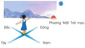 Hoạt động 1 Giải bài tập SGK Tự nhiên và xã hội 2 bài 32