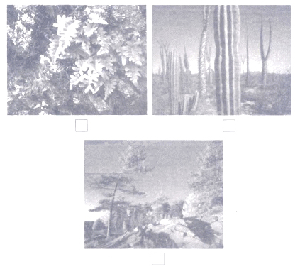 Giải Vở bài tập Tự nhiên và xã hội 2 bài 24 Câu 1